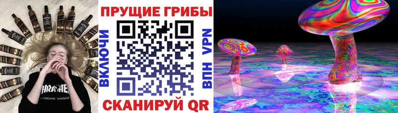 Псилоцибиновые грибы MAGIC MUSHROOMS  Мамоново 